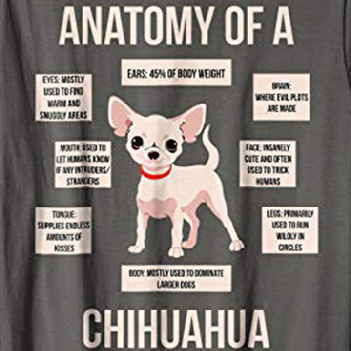 chihuahua mexico shirt