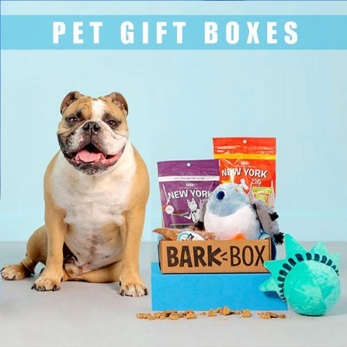 pet gift box